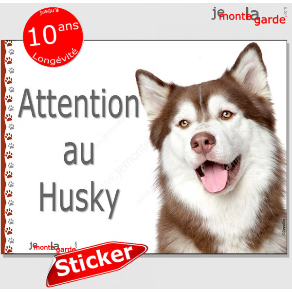 Husky Sibérien blanc et marron chocolat, Panneau sticker autocollant "Attention au Chien", Photo pancarte plaque adhésif affiche