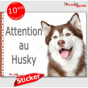 Husky, autocollant "Attention au Chien" 16 cm