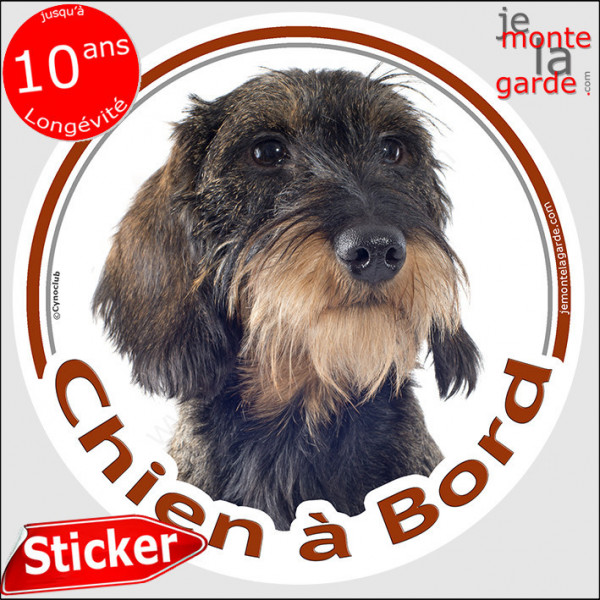 Teckel marron sanglier à poils durs, sticker autocollant rond "Chien à Bord" Disque adhésif vitre voiture photo