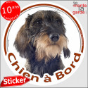 Teckel poils durs, sticker voiture rond "Chien à Bord" 2 tailles D