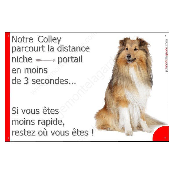 Colley Assis, Plaque Portail distance niche-portail 3 secondes, pancarte, affiche panneau