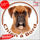 Boxer Fauve, sticker autocollant rond "Chien à Bord" disque photo adhésif voiture auto Boxeur marron