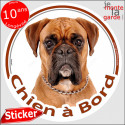 Boxer Fauve, sticker voiture rond "Chien à Bord" 2 tailles