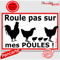 Plaque extérieure Attention "Roule pas sur mes POULES !" 2 tailles