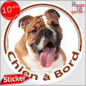 Bulldog Anglais, sticker voiture rond "Chien à Bord" 14 cm