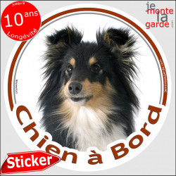 Shetland tricolore, sticker voiture "Chien à Bord" 2 tailles D