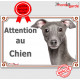 Petit Lévrier Italien gris bleu, plaque portail "Attention au Chien" pancarte panneau photo