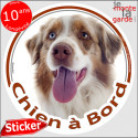 Berger Australien rouge merle, sticker voiture rond "Chien à Bord" 14 cm