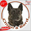 Berger Hollandais poils courts, sticker voiture "Chien à Bord" 14 cm