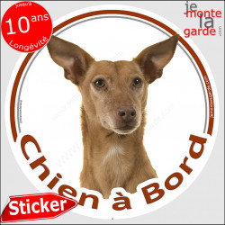 Podenco Tête, sticker autocollant rond "Chien à Bord" Disque photo adhésif vitre voiture photo