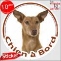 Podenco d'Ibiza, sticker voiture rond "Chien à Bord" 14 cm