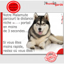 Malamute, plaque humour "distance Niche-Portail 3 secondes" 24 cm 3S