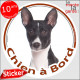 Basenji noir et blanc, disque autocollant voiture "Chien à Bord" Rond photo vitre adhésif