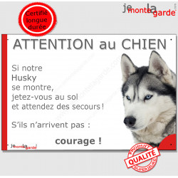 Husky Sibérien gris yeux bleus, plaque portail humour "Attention au Chien, Jetez Vous au Sol, attendez secours, courage" photo