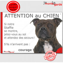 Staffie bringé, plaque humour "Jetez Vous au Sol, Attention au Chien, courage" pancarte panneau bull staffordshire Terrier zébré