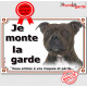 Staffie bringé tête, plaque portail "Je Monte la Garde, risques périls" panneau affiche pancarte, photo staffy zébré