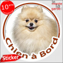 Spitz crème, sticker voiture rond "Chien à Bord" 14 cm