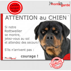 Rottweiler à bord voiture fenêtre Rottie chien signe dautocollant-V01 -   France