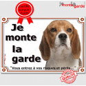 Beagle tricolore, plaque portail "Je Monte la Garde" 2 tailles LUX D