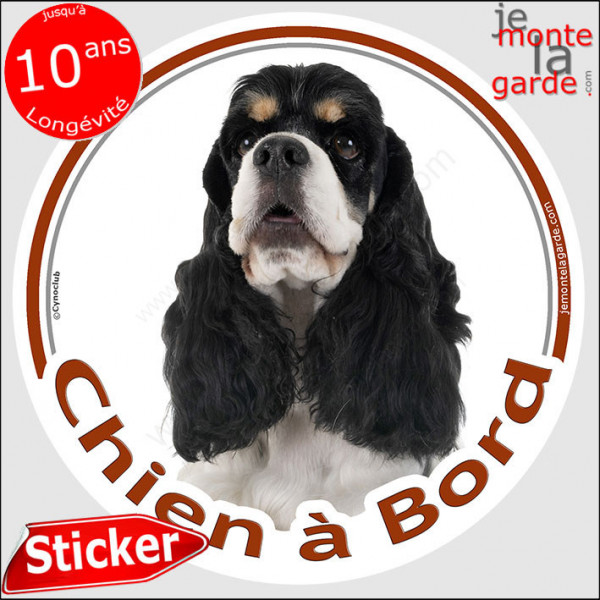 Cocker Américain tricolore, sticker autocollant rond "Chien à Bord" Disque adhésif voiture, USA US photo