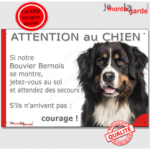 Bouvier Bernois, Panneau "Attention au Chien, montre, jetez-vous sol attendez secours" plaque humour photo marrant drôle