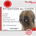 Briard fauve, plaque portail humour "Attention au Chien, Jetez Vous au Sol" 24 cm JET