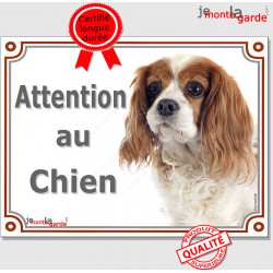 Cavalier Blenheim, plaque portail "Attention au Chien" 2 tailles LUX D