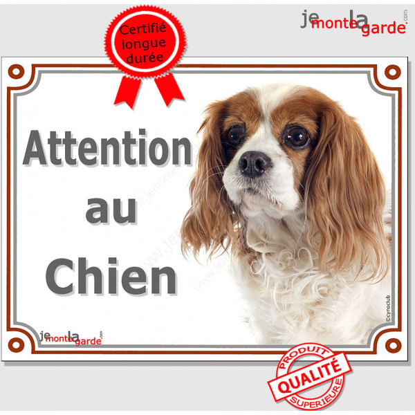 Cavalier King Charles Blenheim Tête, plaque portail "Attention au Chien" pancarte photo panneau blanc et orange marron