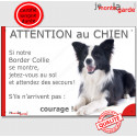 Border Collie, plaque humour "Attention au Chien, Jetez Vous au Sol" 24 cm JET