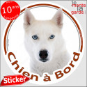 Husky tout blanc, sticker voiture rond "Chien à Bord" 2 tailles D