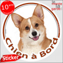 Welsh Corgi fauve, sticker voiture rond "Chien à Bord" 2 tailles D