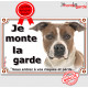 Amstaff Fauve et Blanc Tête, plaque portail "Je Monte la Garde risques périls" pancarte panneau photo pancarte attention chien 