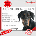 Dobermann noir et feu, plaque portail humour "Attention au Chien, jetez Vous au Sol" 24 cm JET