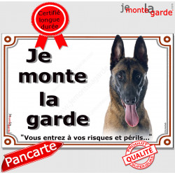 Berger Belge Malinois Tête, Plaque portail "Je Monte la Garde, risques périls" panneau photo affiche pancarte attention au chien