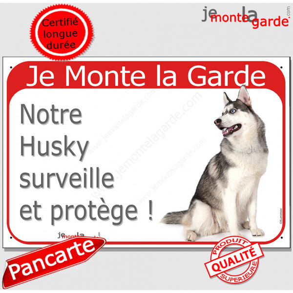 Husky Sibérien Gris et blanc, plaque portail rouge "Je Monte la Garde surveille protège" pancarte fluo visible photo 