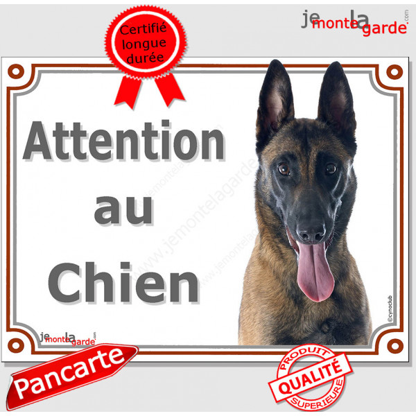 Berger Belge Malinois Tête, plaque "Attention au Chien" pancarte panneau photo race