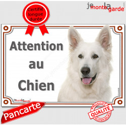 Berger Blanc Suisse Tête, plaque portail "Attention au Chien" pancarte panneau affiche BBS suisse photo