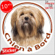 Lhassa Apso fauve marron, disque photo autocollant "Chien à Bord" Sticker adhésif rond vitre voiture