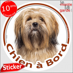 Lhassa Apso fauve marron, disque photo autocollant "Chien à Bord" Sticker adhésif rond vitre voiture