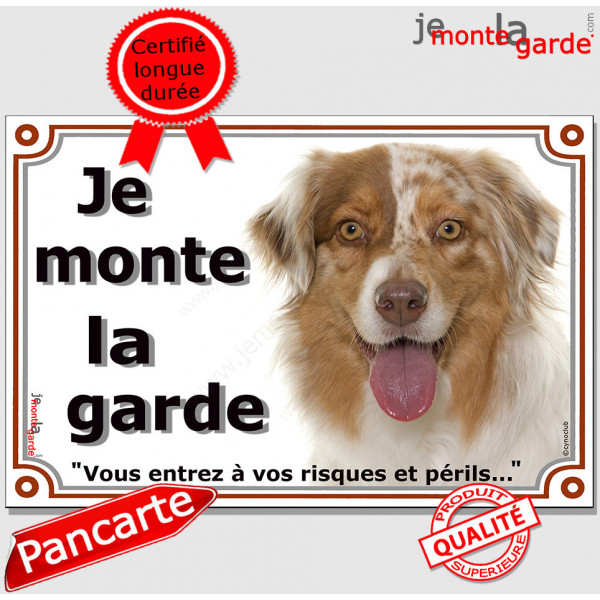 Berger Australien Rouge Merle Tête, Plaque "Je Monte la Garde, risques périls" panneau affiche pancarte Attention au Chien photo