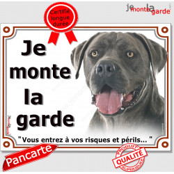 Cane Corso gris, plaque portail "Je Monte la Garde, risques et périls" pancarte panneau bleu bringué attention au chien photo