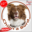 Border Collie, sticker voiture rond "Chien à Bord" 2 tailles D