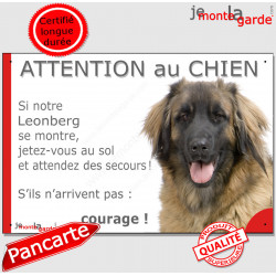 Leonberg, plaque portail humour "Attention au Chien, Jetez Vous au Sol, Attendez secours, courage" pancarte panneau photo