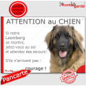 Leonberg, plaque humour "Attention au Chien, Jetez Vous au Sol" 24 cm JET