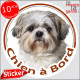 Shih-Tzu gris-bleu Tête, sticker autocollant rond "Chien à Bord" disque adhésif vitre voiture photo Shitsu