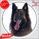 berger Belge Tervueren, sticker rond "photo" 14 cm