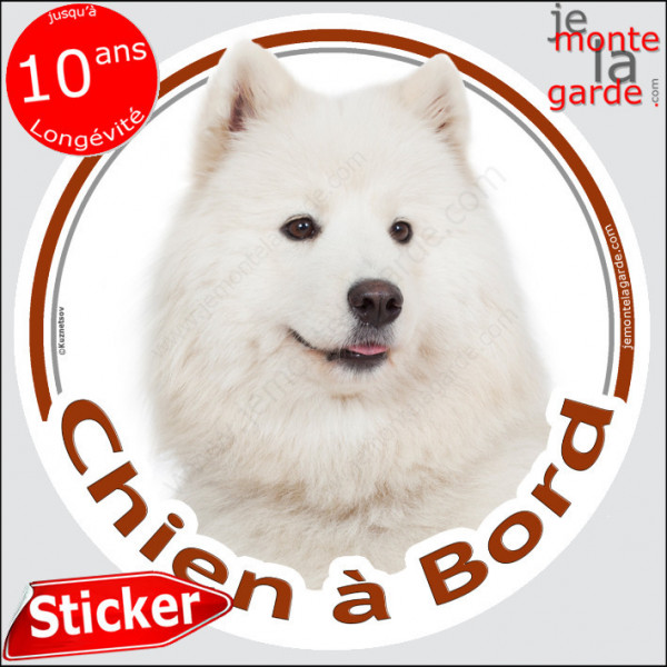 Samoyède Tête, sticker autocollant rond "Chien à Bord" Disque photo adhésif vitre voiture