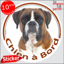 Boxer Fauve, sticker voiture "Chien à Bord" 2 tailles D