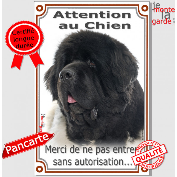 Terre neuve noir et blanc, plaque portail verticale "Attention au Chien, interdit sans autorisation" pancarte panneau photo race