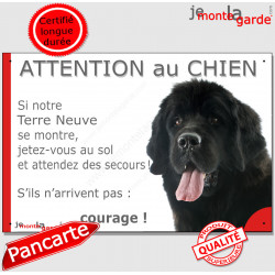 Terre Neuve, plaque humour "Attention au Chien, Jetez Vous au Sol" 24 cm JET